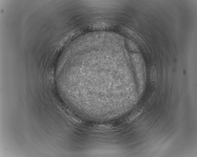 X0000076090737200610152318