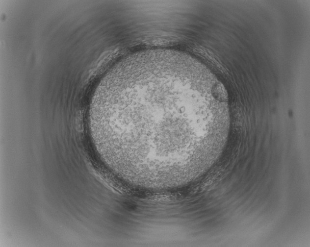 X0000076090738200610152318