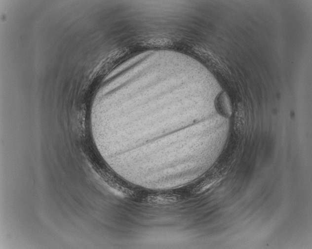 X0000076090739200610152318