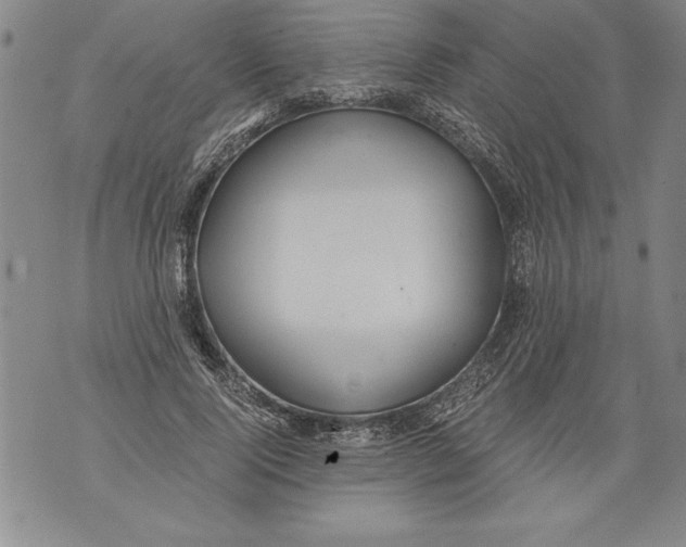 X0000076090740200610152318