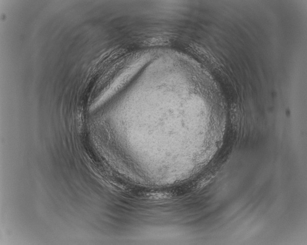 X0000076090741200610152318