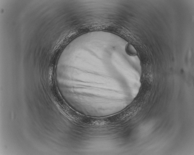 X0000076090742200610152318