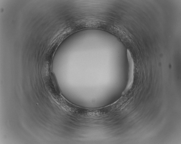 X0000076090744200610152318