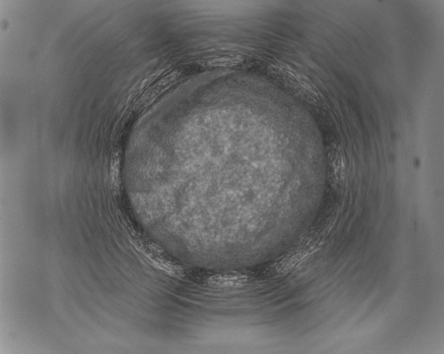 X0000076090745200610152318