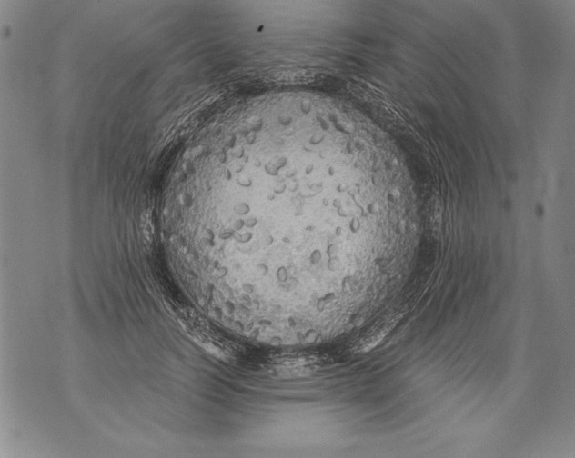 X0000076090746200610152318