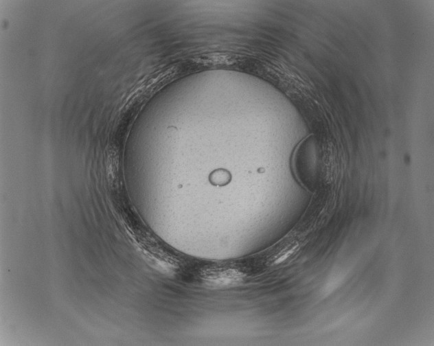 X0000076090747200610152318