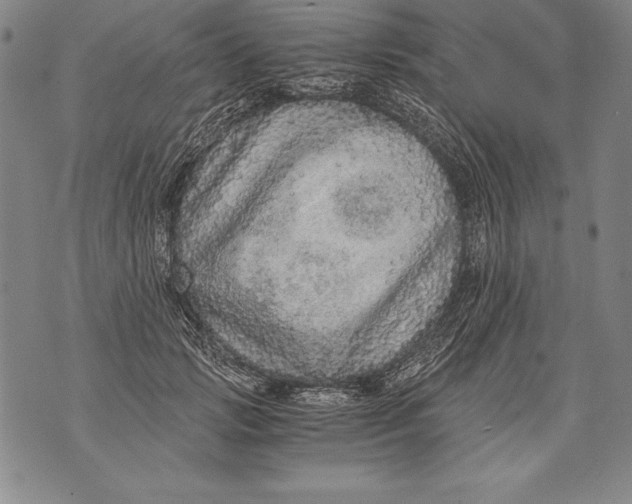 X0000076090749200610152318