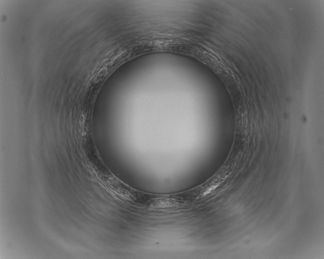 X0000076090750200610152318