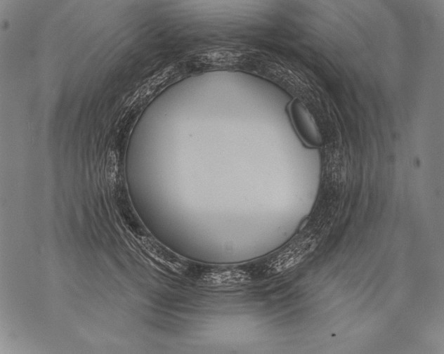 X0000076090752200610152318