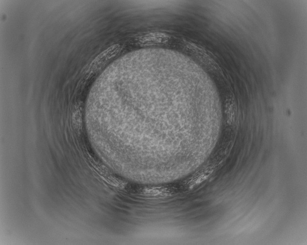 X0000076090753200610152318