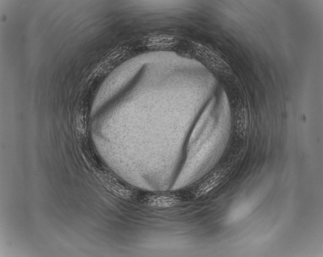 X0000076090755200610152318