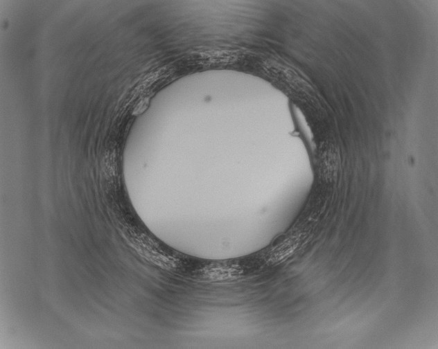 X0000076090756200610152318