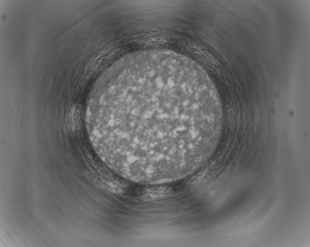 X0000076090757200610152318