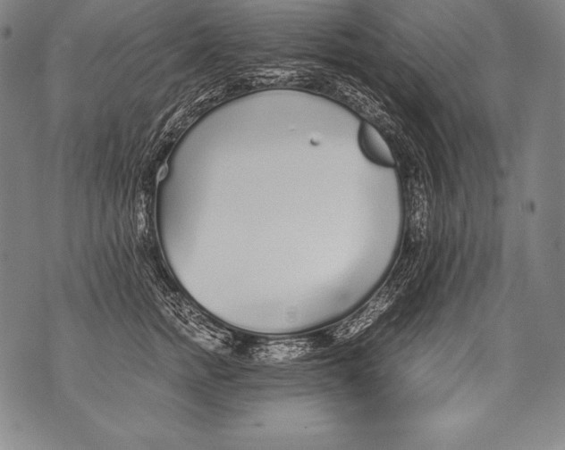 X0000076090758200610152318