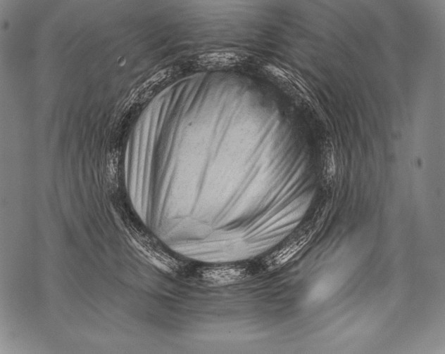 X0000076090759200610152318