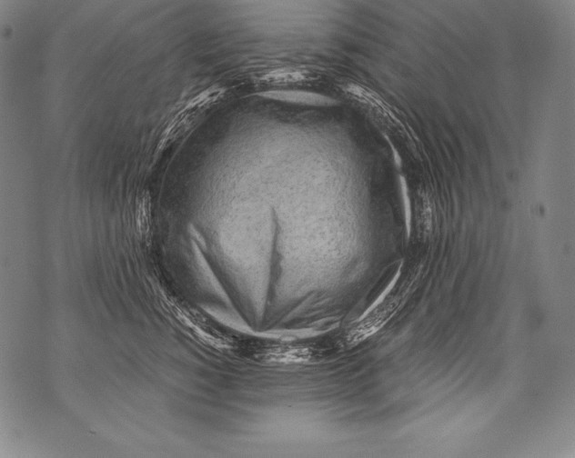 X0000076090760200610152318