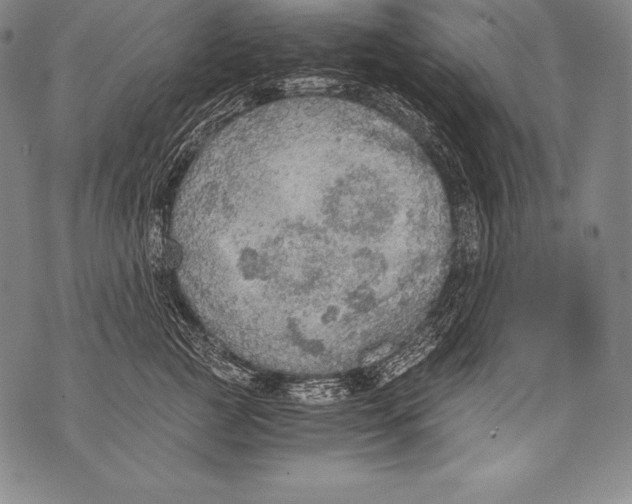 X0000076090761200610152318