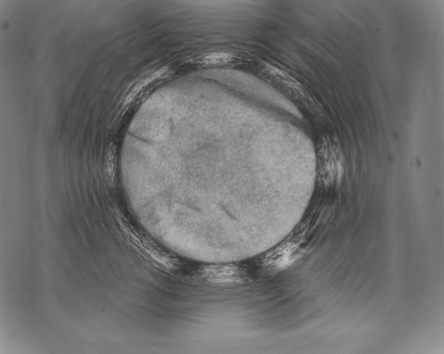 X0000076090762200610152318