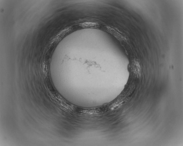 X0000076090763200610152318