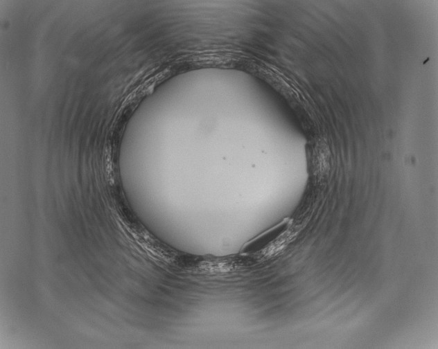 X0000076090764200610152318