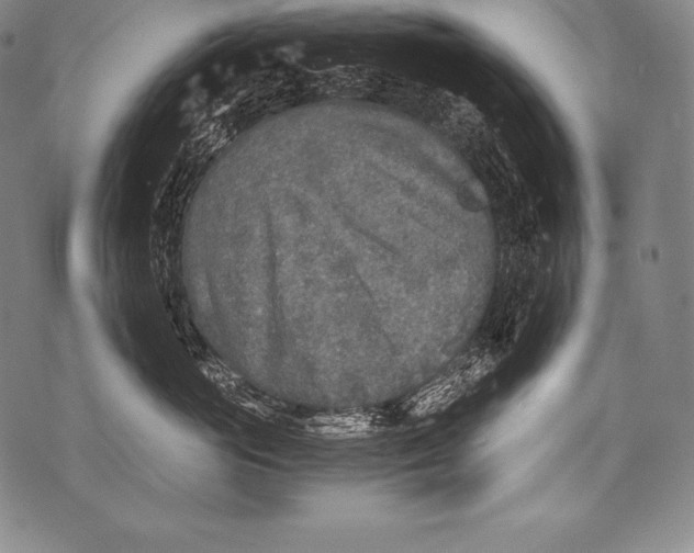 X0000076090765200610152318