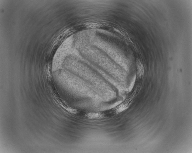 X0000076090766200610152318