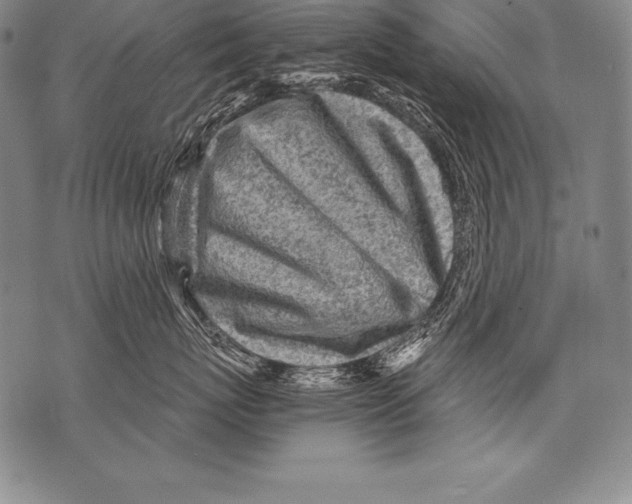 X0000076090767200610152318