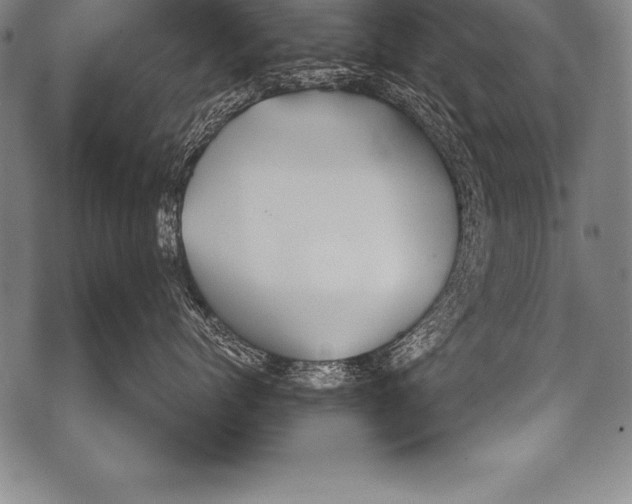 X0000076090768200610152318