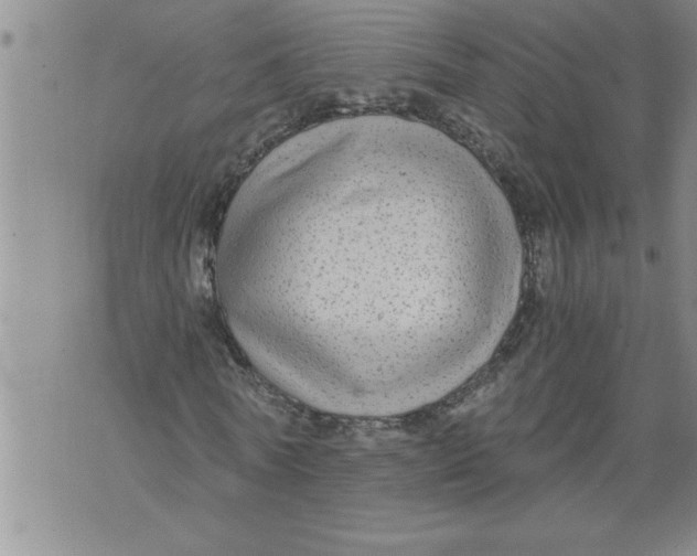 X0000076090770200610152317