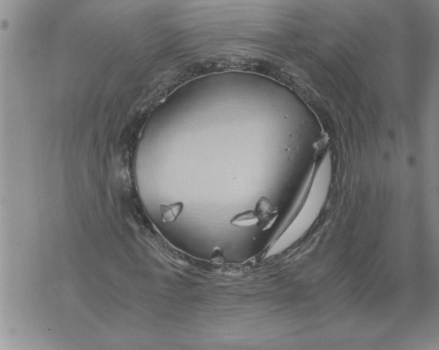 X0000076090771200610152317