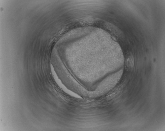 X0000076090772200610152317