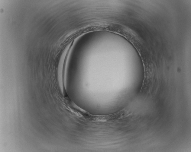 X0000076090773200610152317