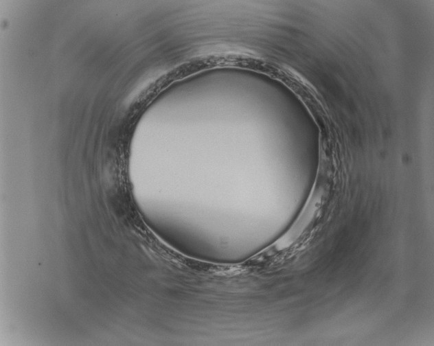 X0000076090775200610152317