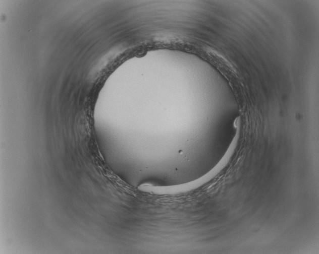 X0000076090776200610152317