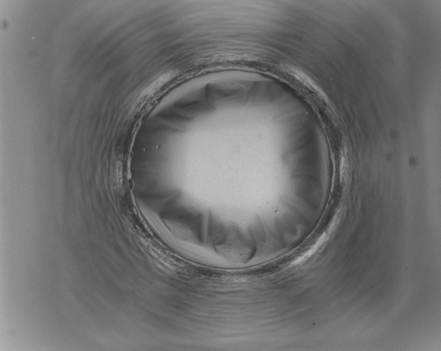 X0000076090777200610152317