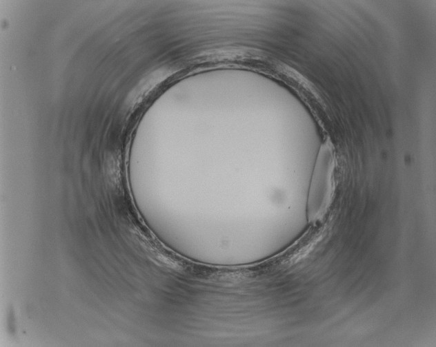 X0000076090778200610152317