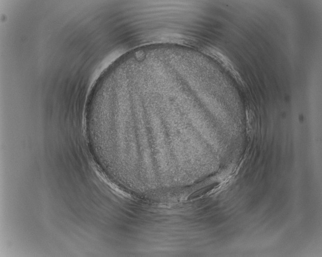 X0000076090780200610152317