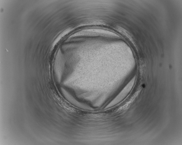 X0000076090781200610152317