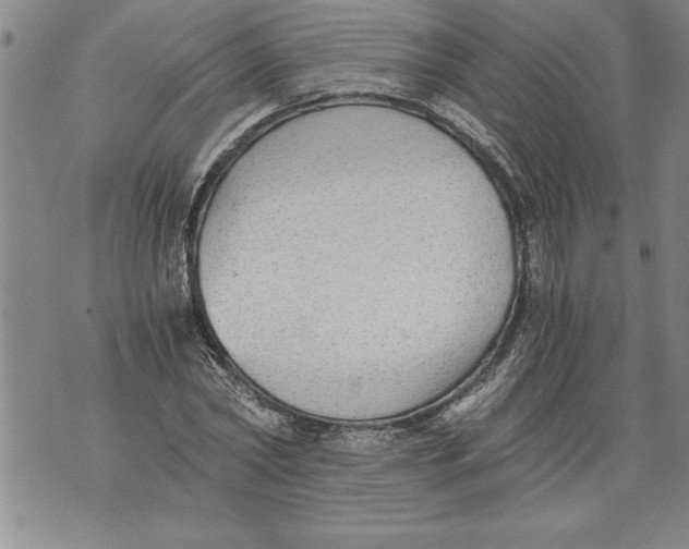 X0000076090782200610152317