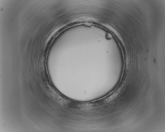 X0000076090783200610152317