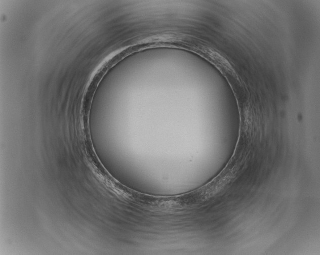 X0000076090784200610152317