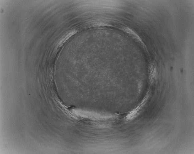 X0000076090785200610152317