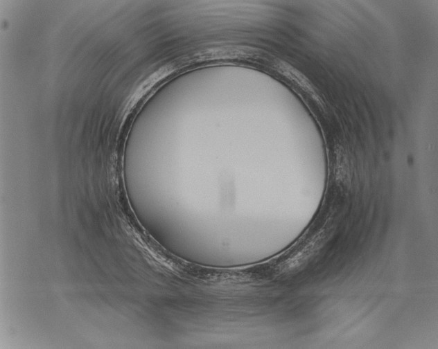 X0000076090786200610152317