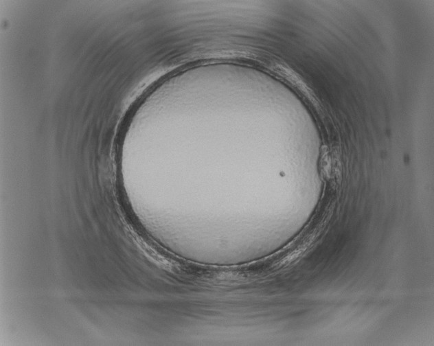 X0000076090787200610152317