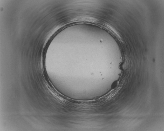 X0000076090788200610152317