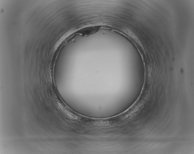 X0000076090789200610152317