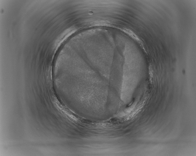 X0000076090790200610152317