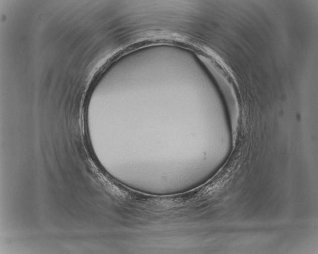 X0000076090791200610152317