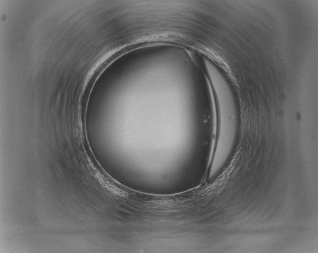 X0000076090792200610152317