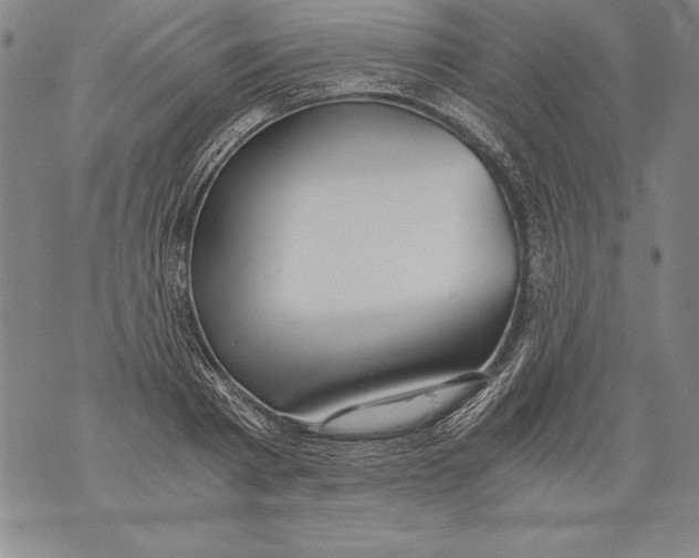 X0000076090793200610152317